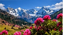 Jomolhari Trek gallery photo 4